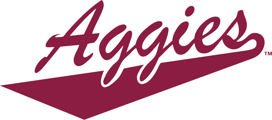 New Mexico State Aggies 2005-2008 Wordmark Logo t shirts iron on transfers